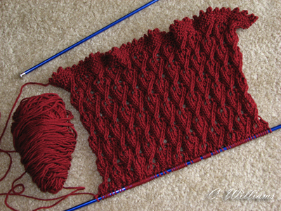 Voyager Lace in Red1