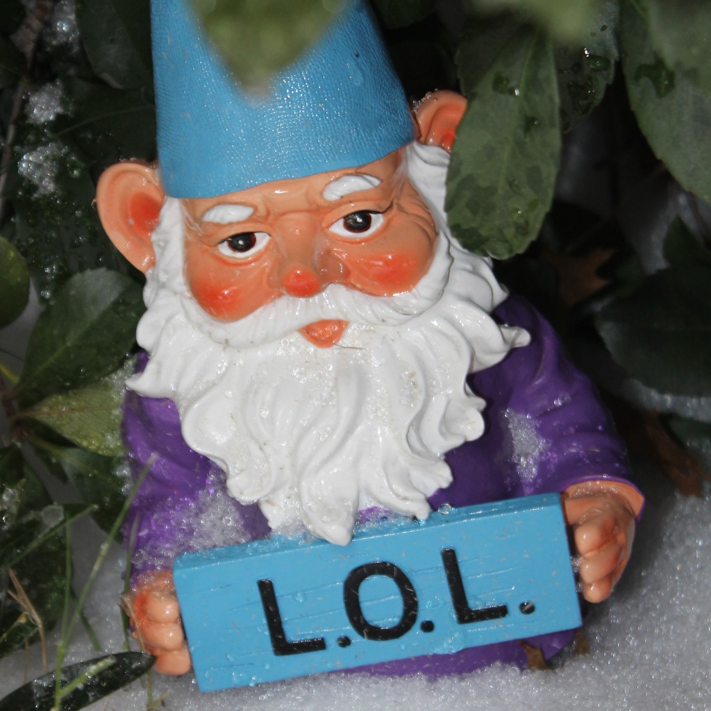 lol gnome